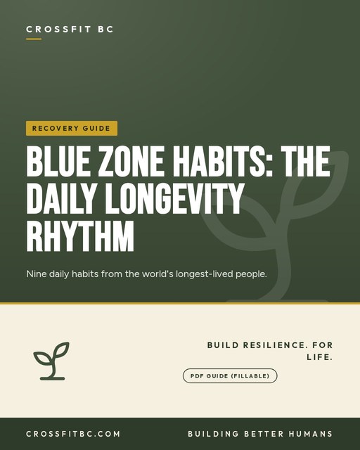 Blue Zone Habits: The Daily Longevity Rhythm