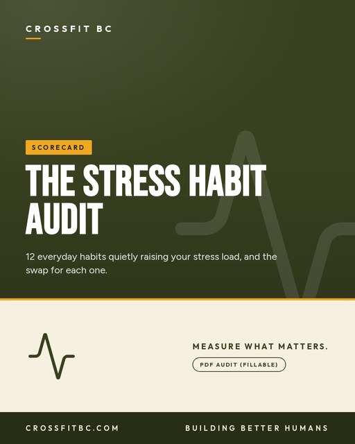 The Stress Habit Audit
