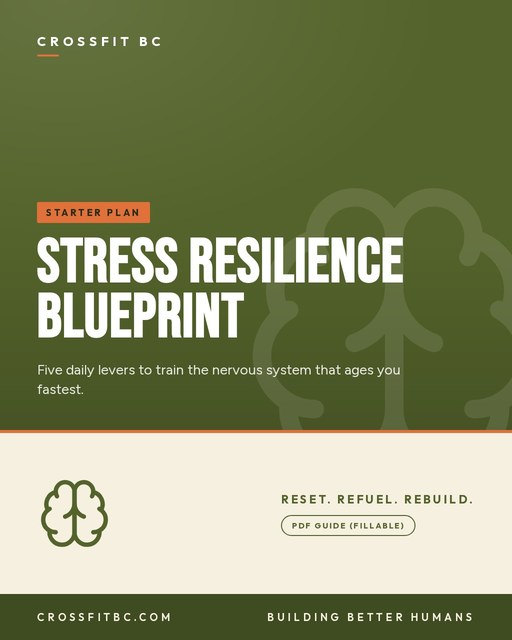 Stress Resilience Blueprint