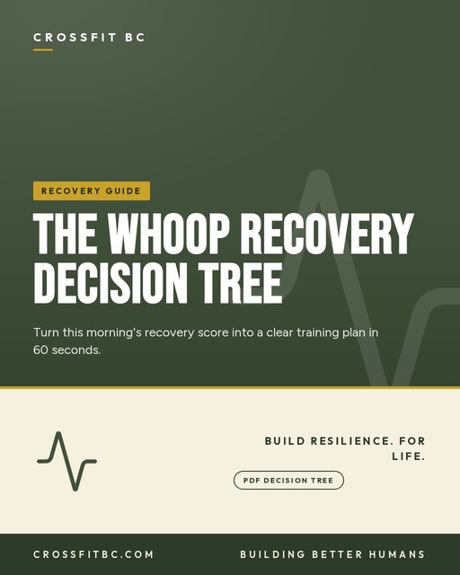 The WHOOP Recovery Decision Tree